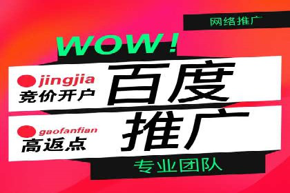 SEM代运营公司案例：精准营销策略